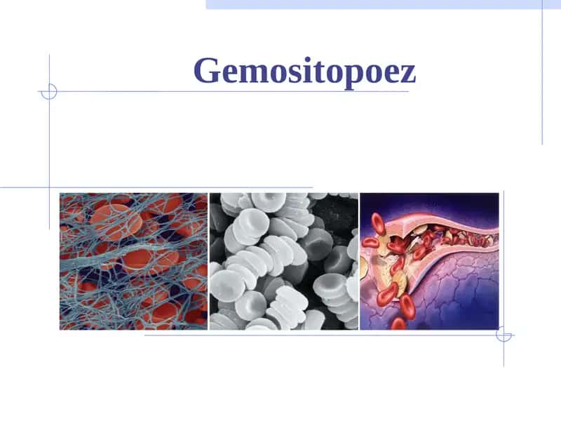 Gemositopoez 1