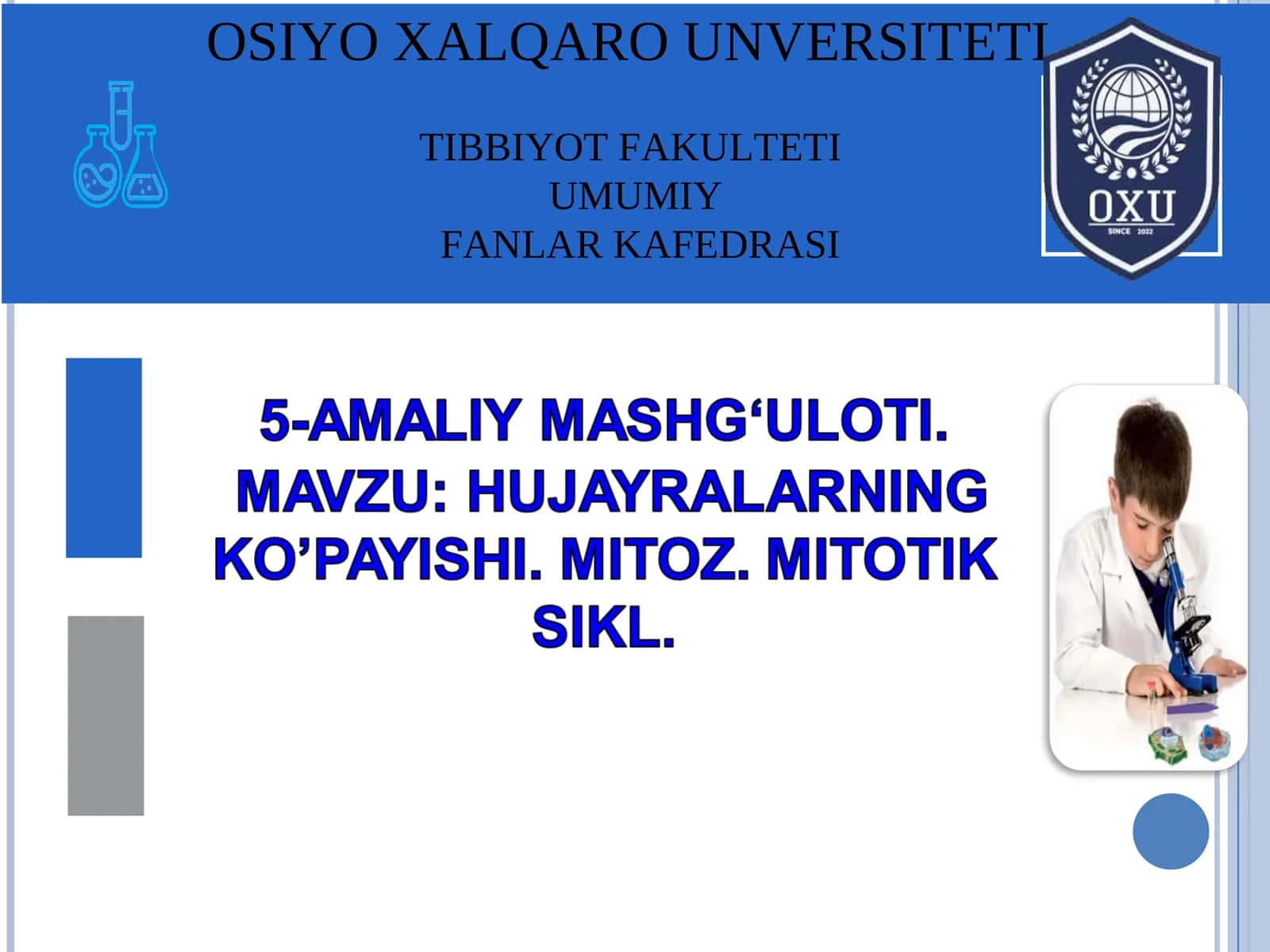 MITOZ SIKLI DEB HUJAYRANING BO‘LINISHGA TAYYORGARLIK DAVRI HAMDA MITOZBOSQICHLARINI DAVOM ETISHIGA AYTILADI 1