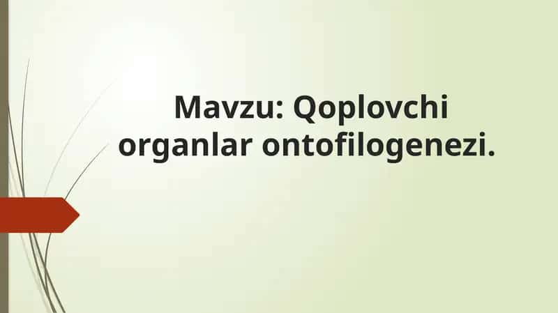 Qoplovchi organlar onto filogenezi 1