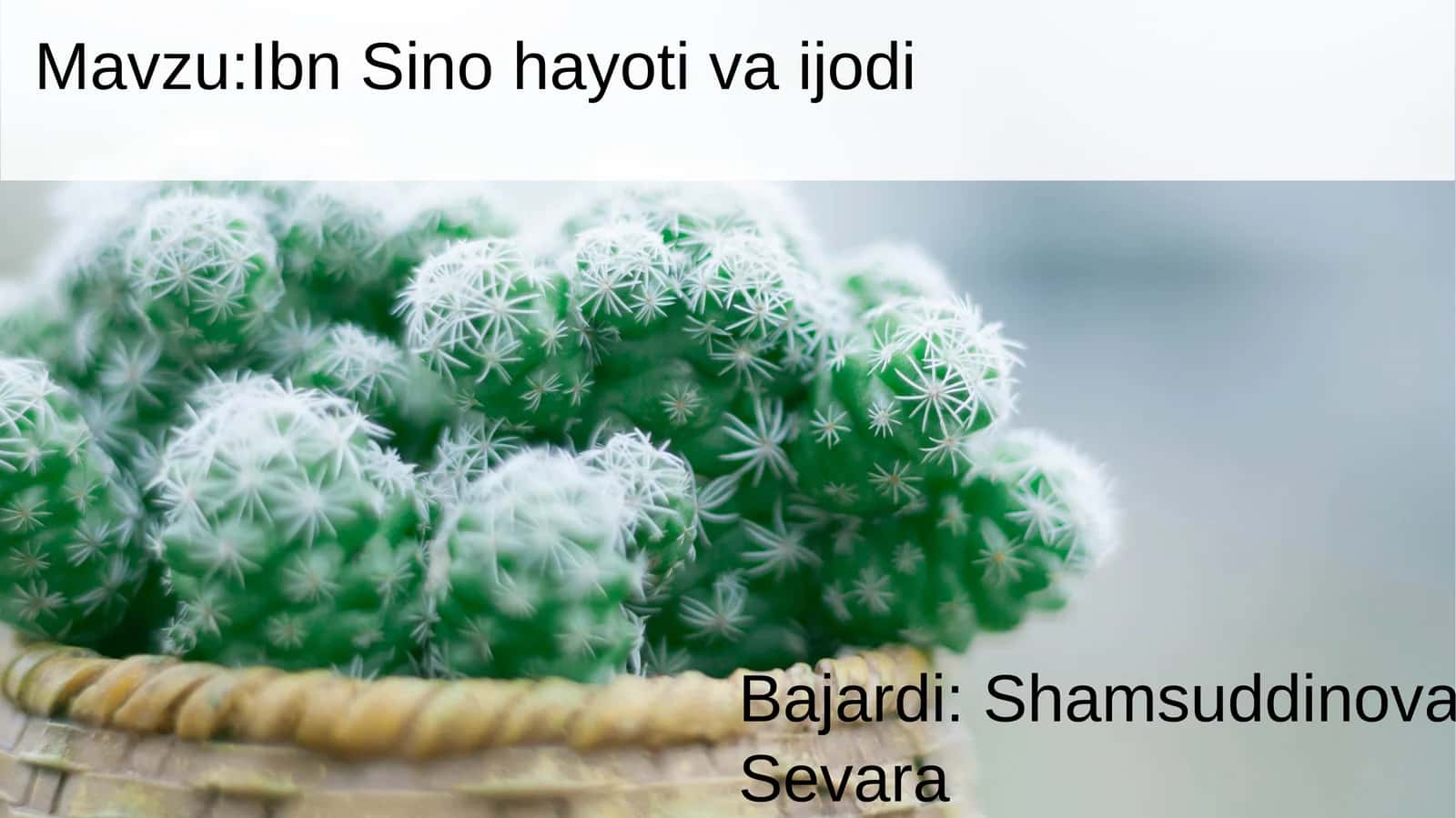 Ibn Sino hayoti va faoliyati haqida 1