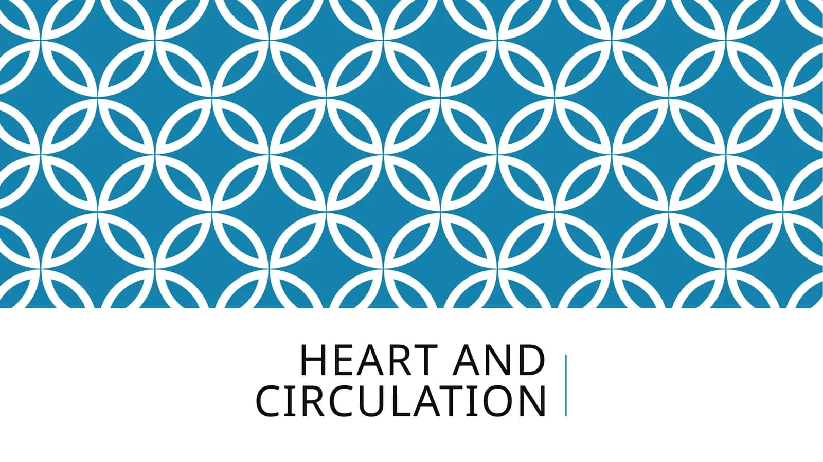 Heart and circulation 1