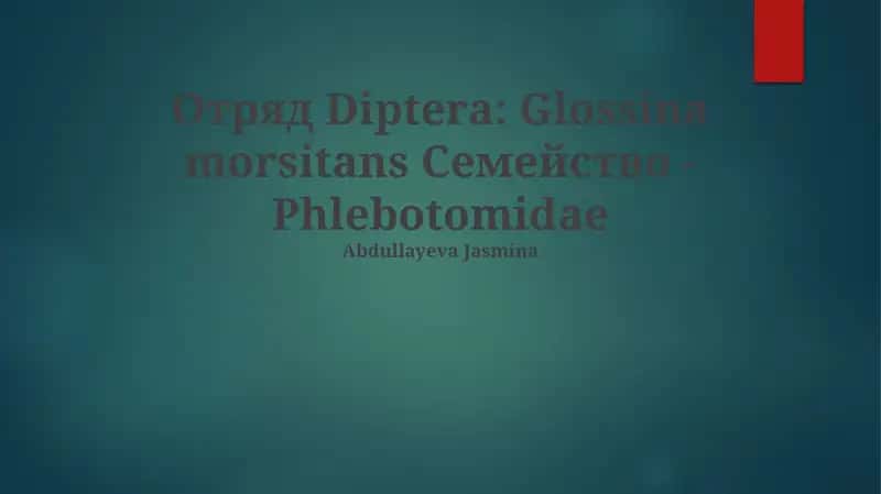 Glossina morsitans 1