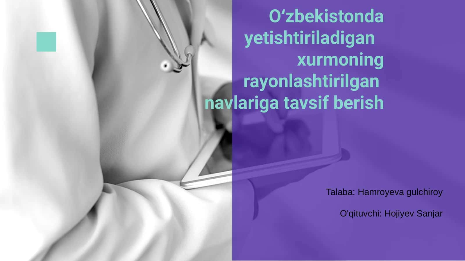 Oʻzbekistonda yetishtiriladigan xurmoning rayonlashtirilgan navlariga tavsif berish 1