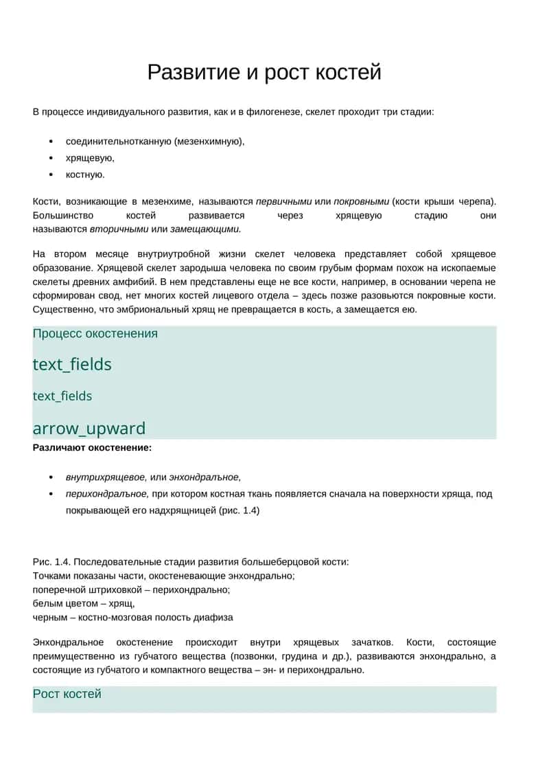 Развитие и рост костей 1