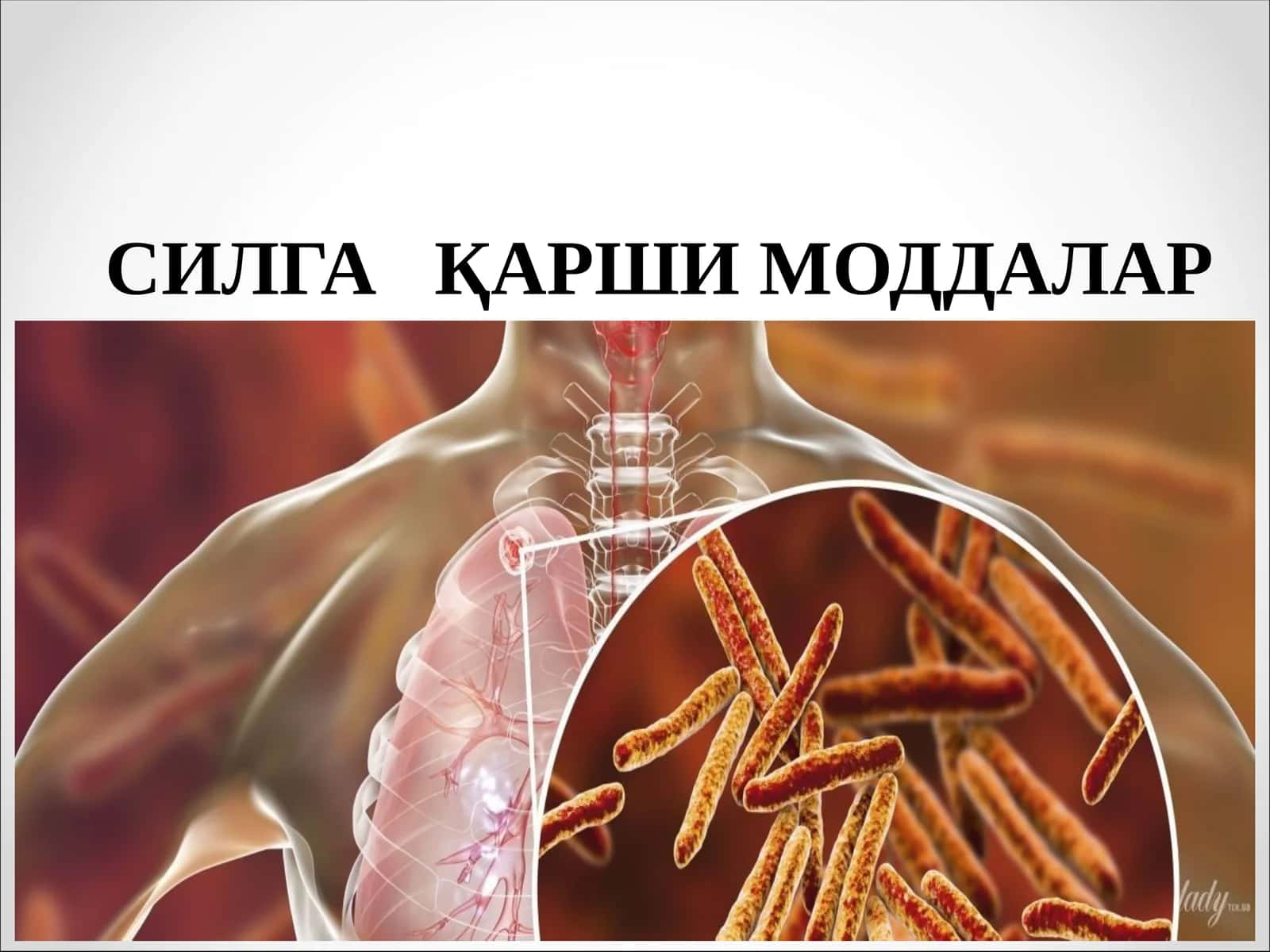 СИЛГА ҚАРШИ МОДДАЛАР 1