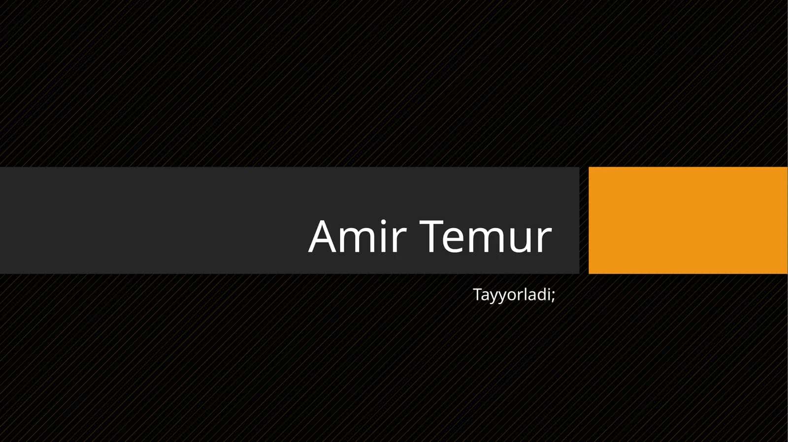 Amir Temur 1