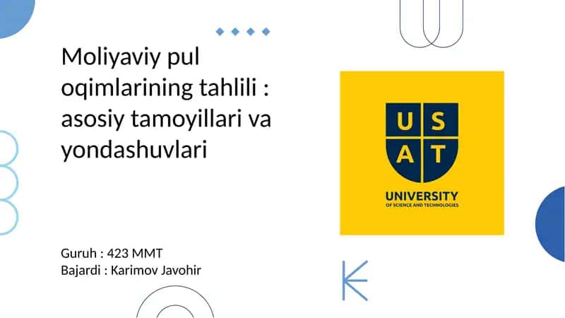 Moliyaviy puloqimlarining tahlili: asosiy tamoyillari va yondashuvlari 1