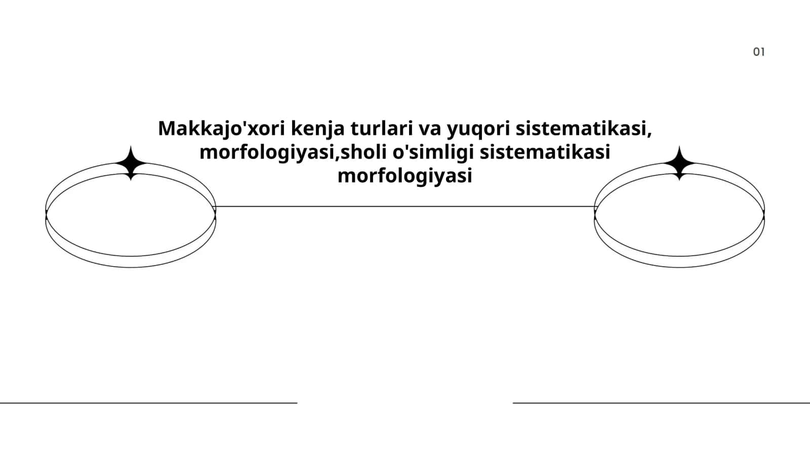 Makkajoʻxori kenja turlari va yuqori sistematikasi, morfologiyasi, sholi oʻsimligi sistematikasi morfologiyasi 1