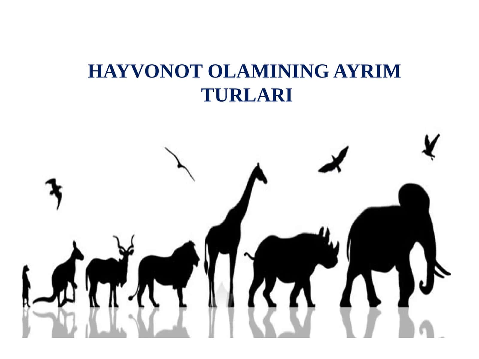 HAYVONOTOLAMINING AYRIM TURLARI 1