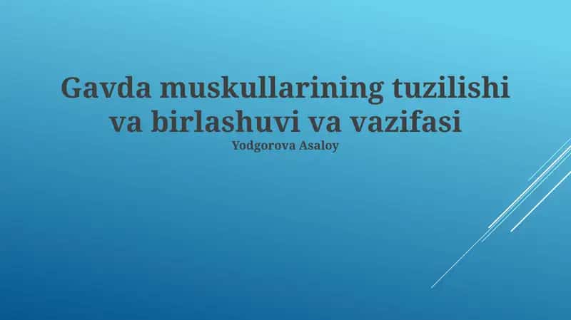 Gavda muskullarining tuzilishi va birlashuvi va vazifasi 1