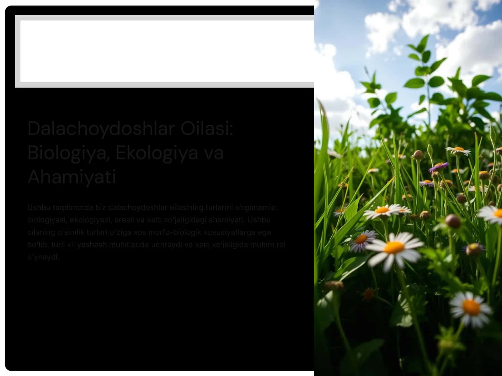 Dalachoydoshlar Oilasi: Biologiya, Ekologiya va Ahamiyati 1