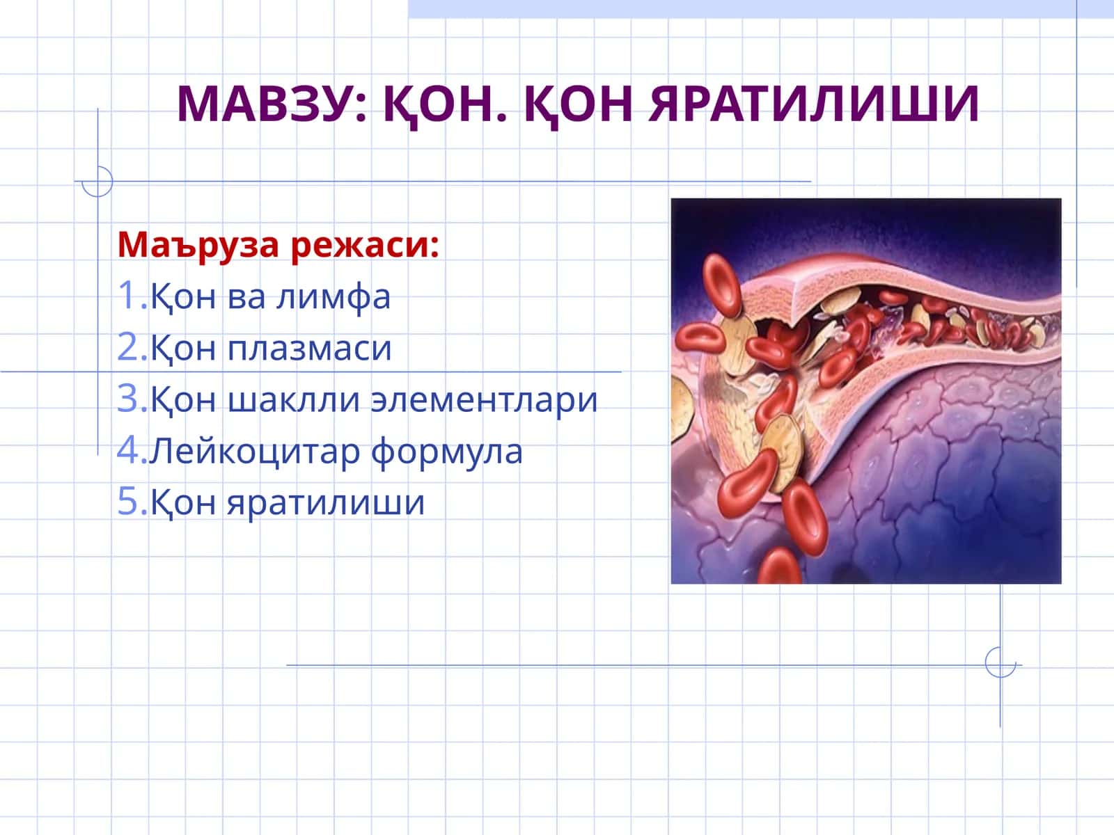 Қон. Қон яратилиши 1
