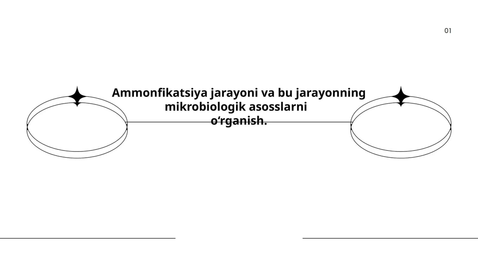 Ammonfikatsiya jarayoni va bu jarayonning mikrobiologik asosslarni o‘rganish 1
