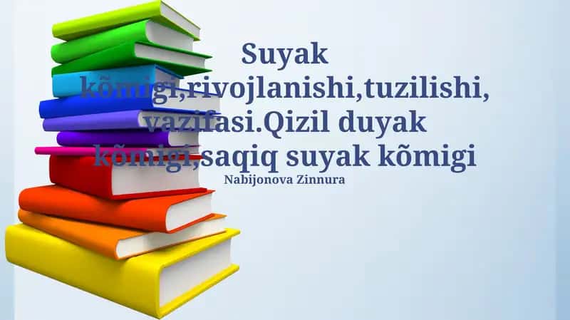 Suyak ko'migi 1