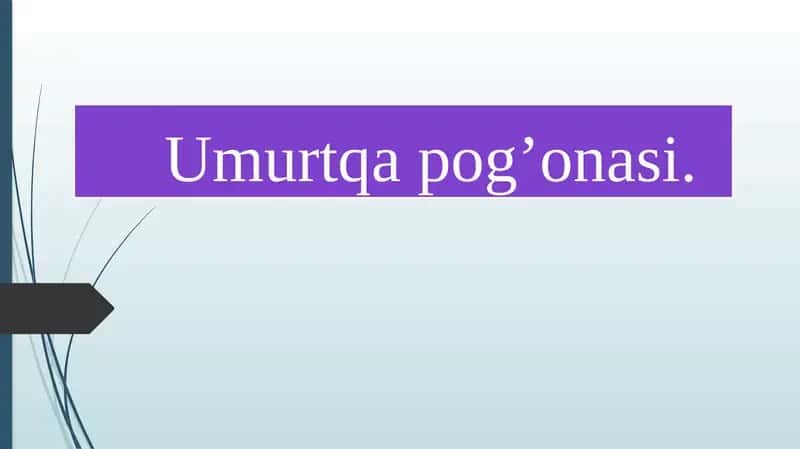 Umurtqa pog’onasi. 1