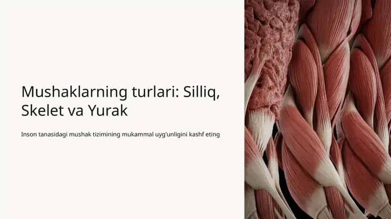 Mushaklar turlari 1