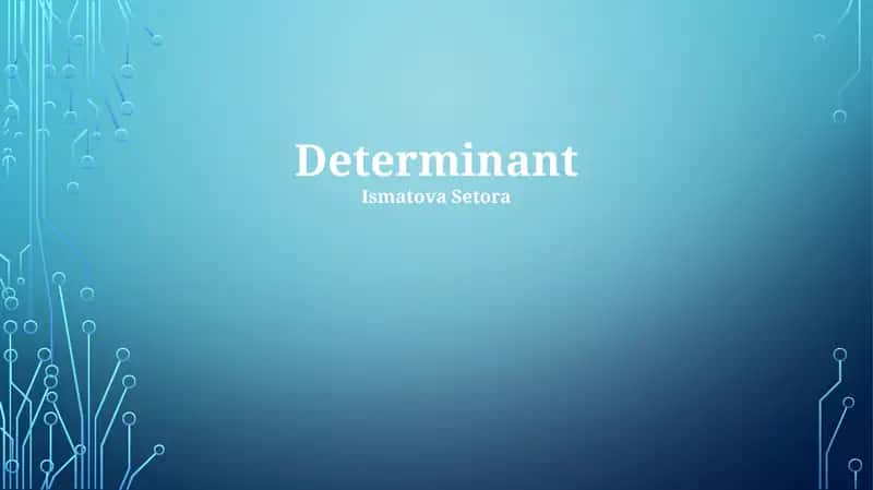 Determinant 1