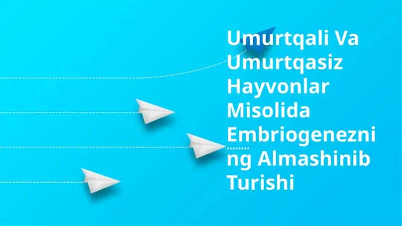 Umurtqali Va Umurtqasiz Hayvonlar Misolida Embriogenezning Almashinib Turishi 1