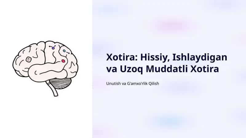 Xotira: Hissiy, Ishlaydigan va Uzoq Muddatli Xotira 1