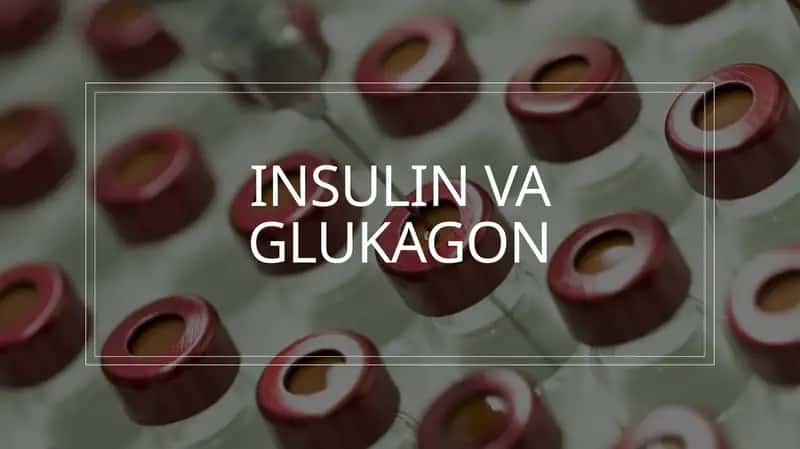 Insulin va Glukagon gormonlari 1