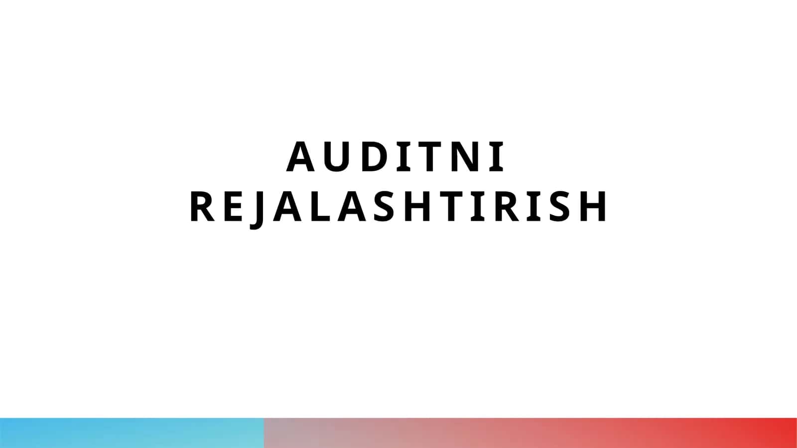 Auditni rejalashtirish 1