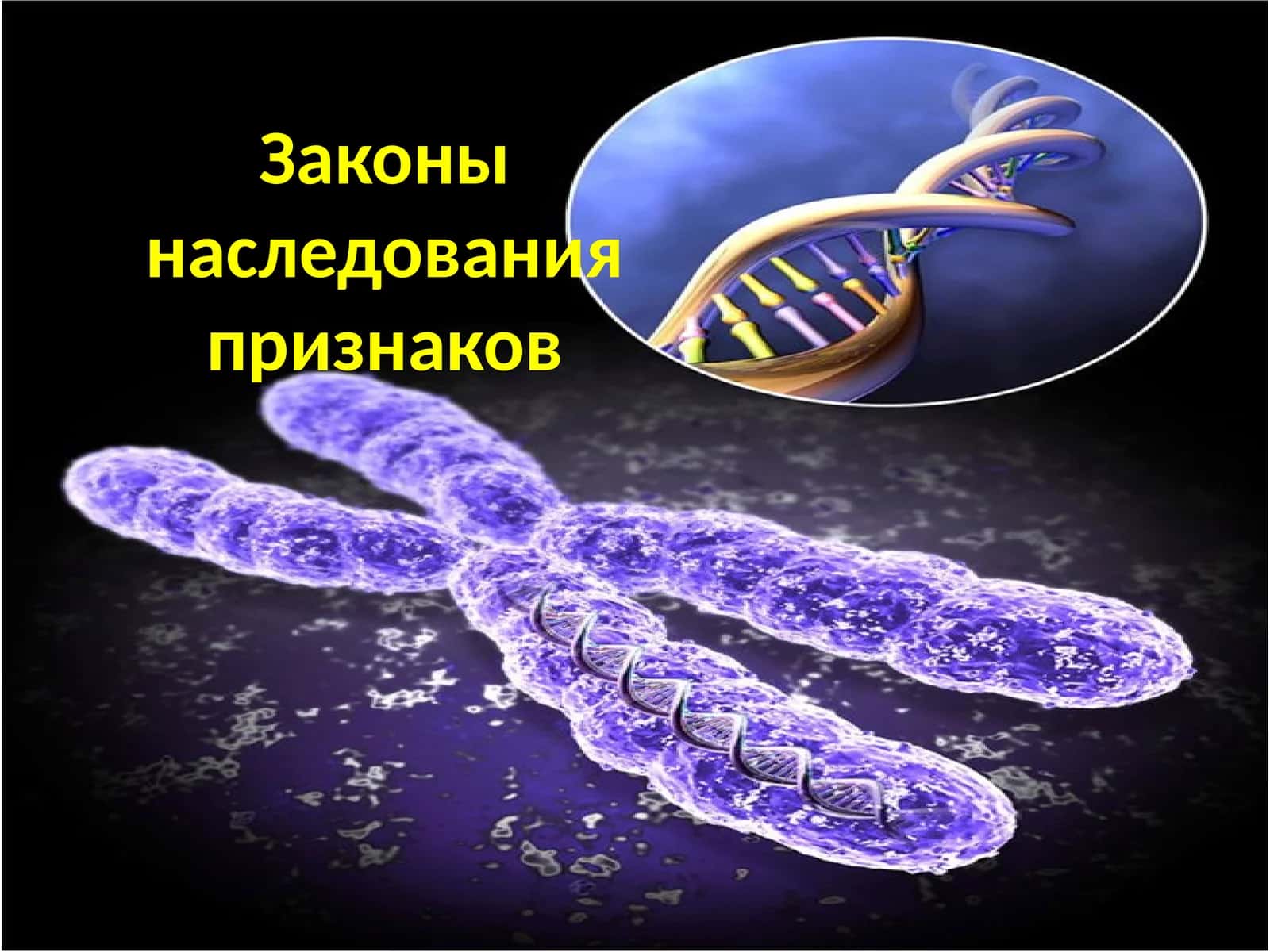 Генетика 1