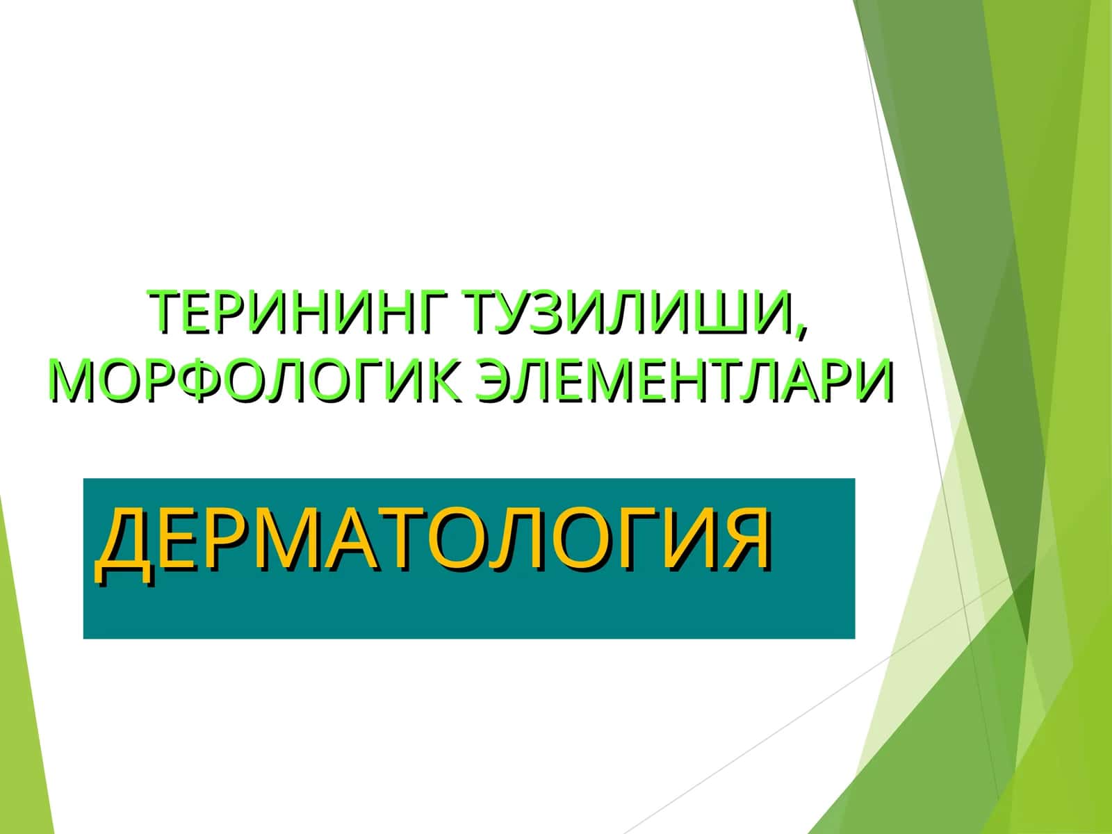 ДЕРМАТОЛОГИЯ ТЕРИНИНГТУЗИЛИШИ,МОРФОЛОГИК ЭЛЕМЕНТЛАРИ 1