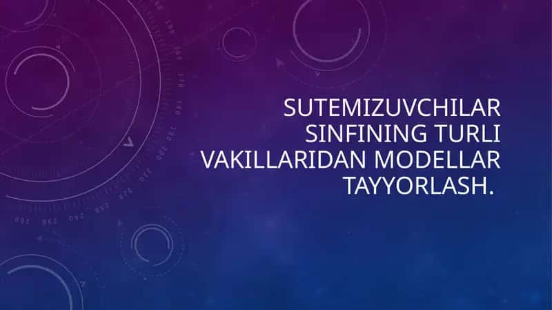 Sutemizuvchilar sinfining turli vakillaridan modellar tayyorlash. 1