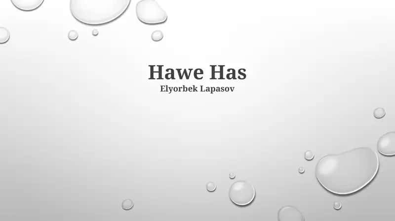 Hawe Has 1