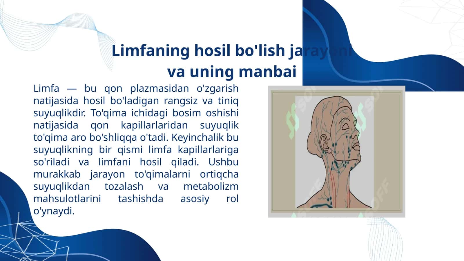 Limfaning hosil bo'lish jarayoni va uning manbai 1
