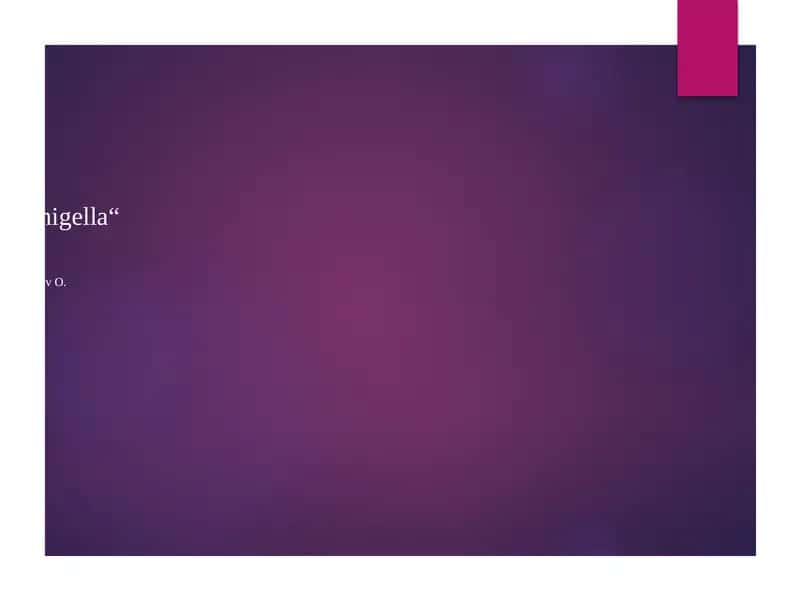 Shigella Bacteria 1