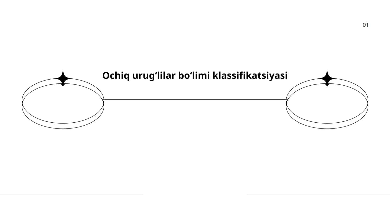 Ochiq urug‘lilar bo‘limi klassifikatsiyasi 1