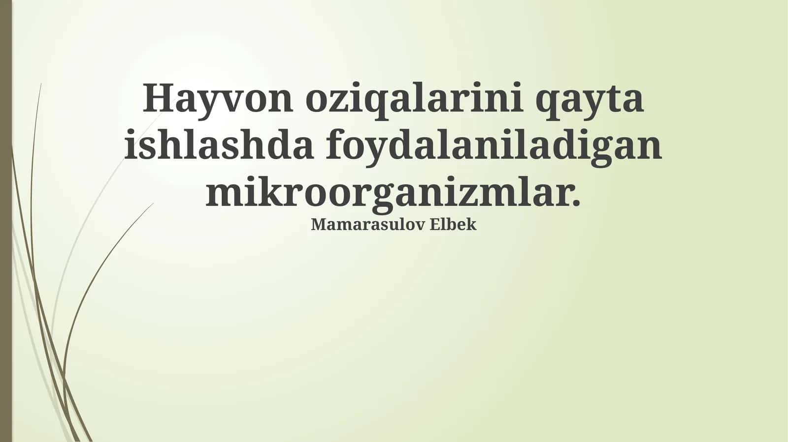 Hayvon oziqalarini qayta ishlashda foydalaniladigan mikroorganizmlar 1