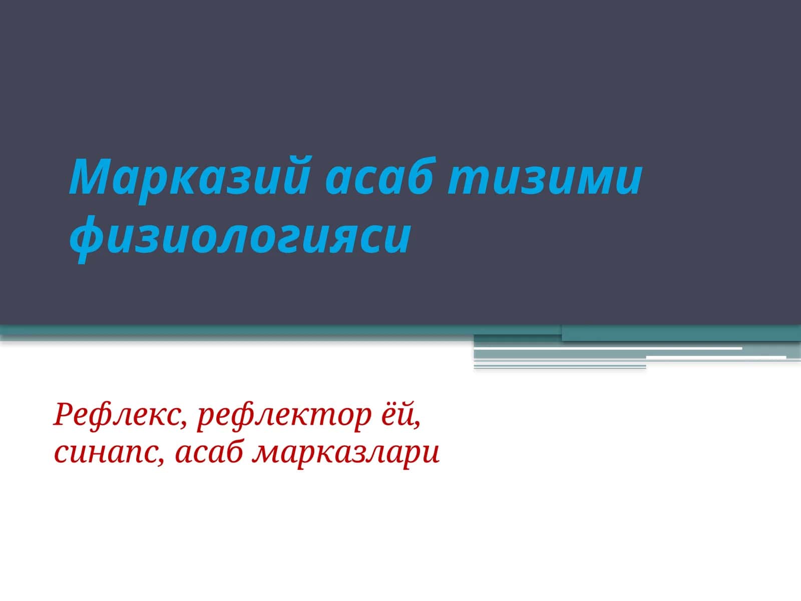 Марказий асаб тизими физиологияси 1