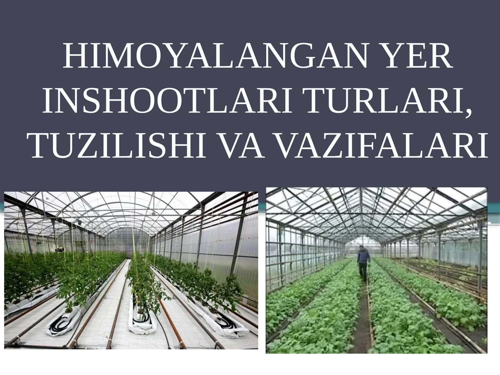 Yopiq (himoyalangan) maydon inshootlari turlari, tuzilishi va vazifalari 1