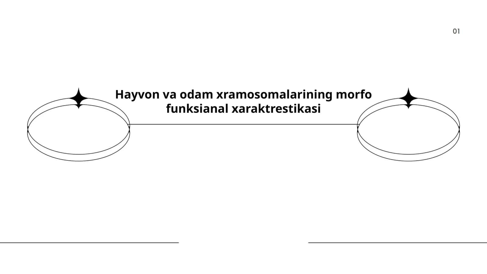 Xromosomalarning tuzilishi va morfologiyasi 1