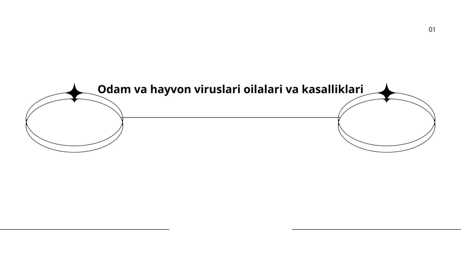 Odam va hayvon viruslari oilalari va kasalliklari 1