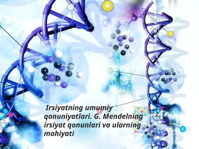 Irsiyatning umumiy qonuniyatları. G.Mendelning irsiyat qonunlari va ularning mohiyati 1