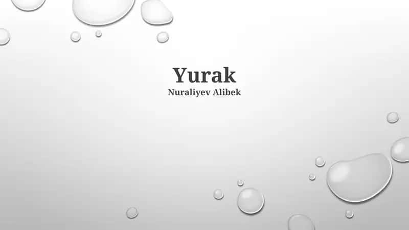 Yurak 1