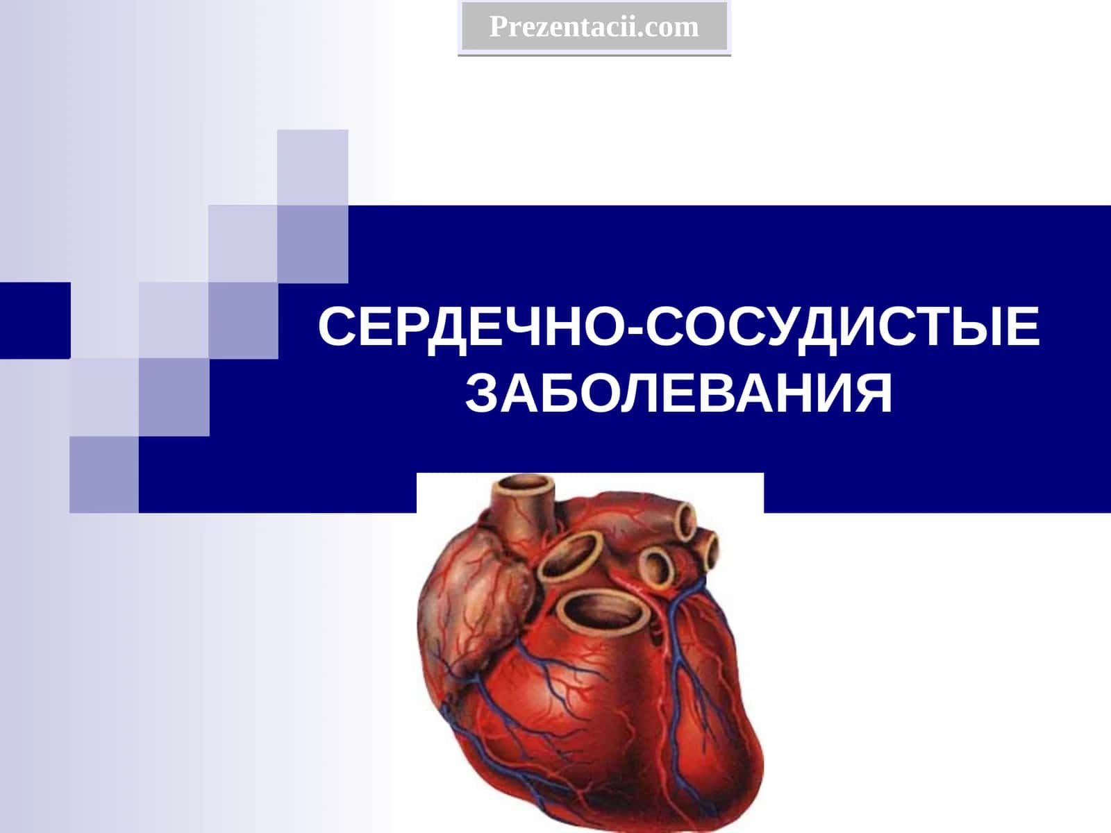 СЕРДЕЧНО-СОСУДИСТЫЕ ЗАБОЛЕВАНИЯ 1