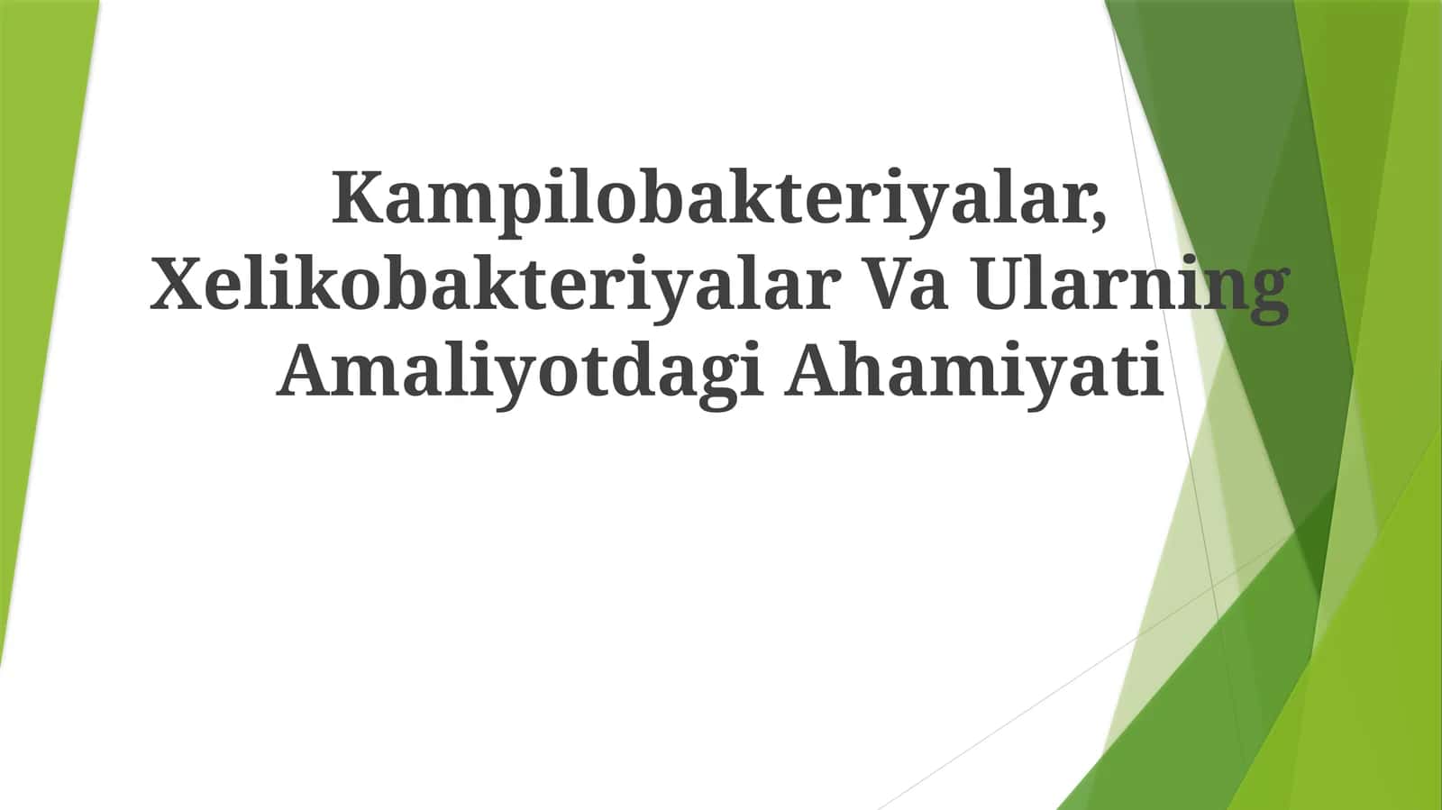 Kampilobakteriyalar, Xelikobakteriyalar Va Ularning Amaliyotdagi Ahamiyati 1