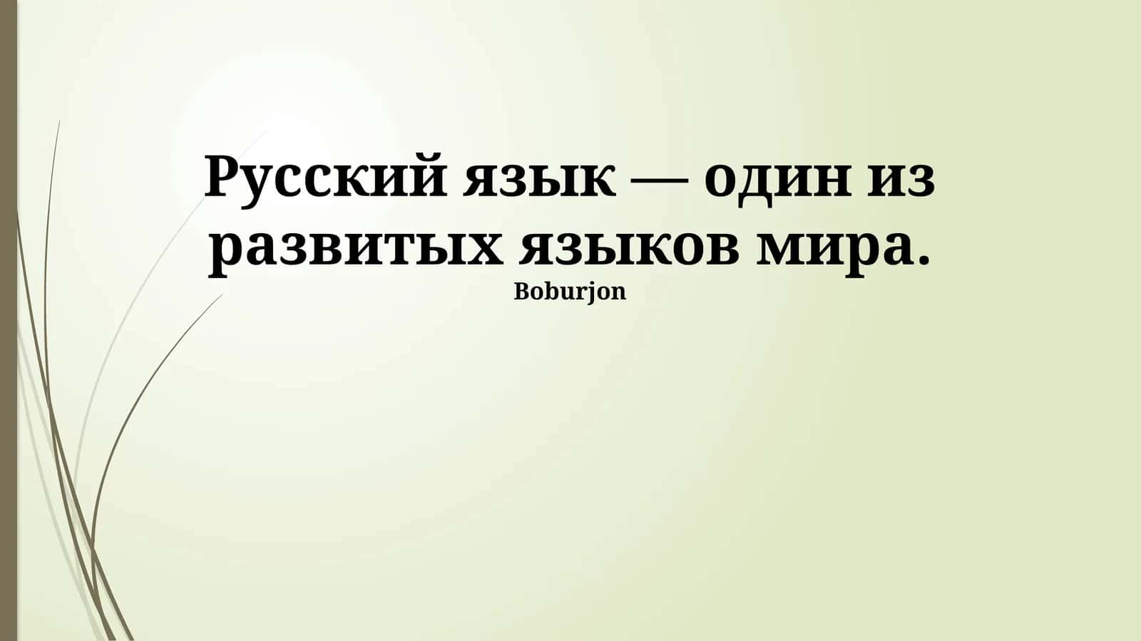 Современный русский язык: богатство и развитие 1