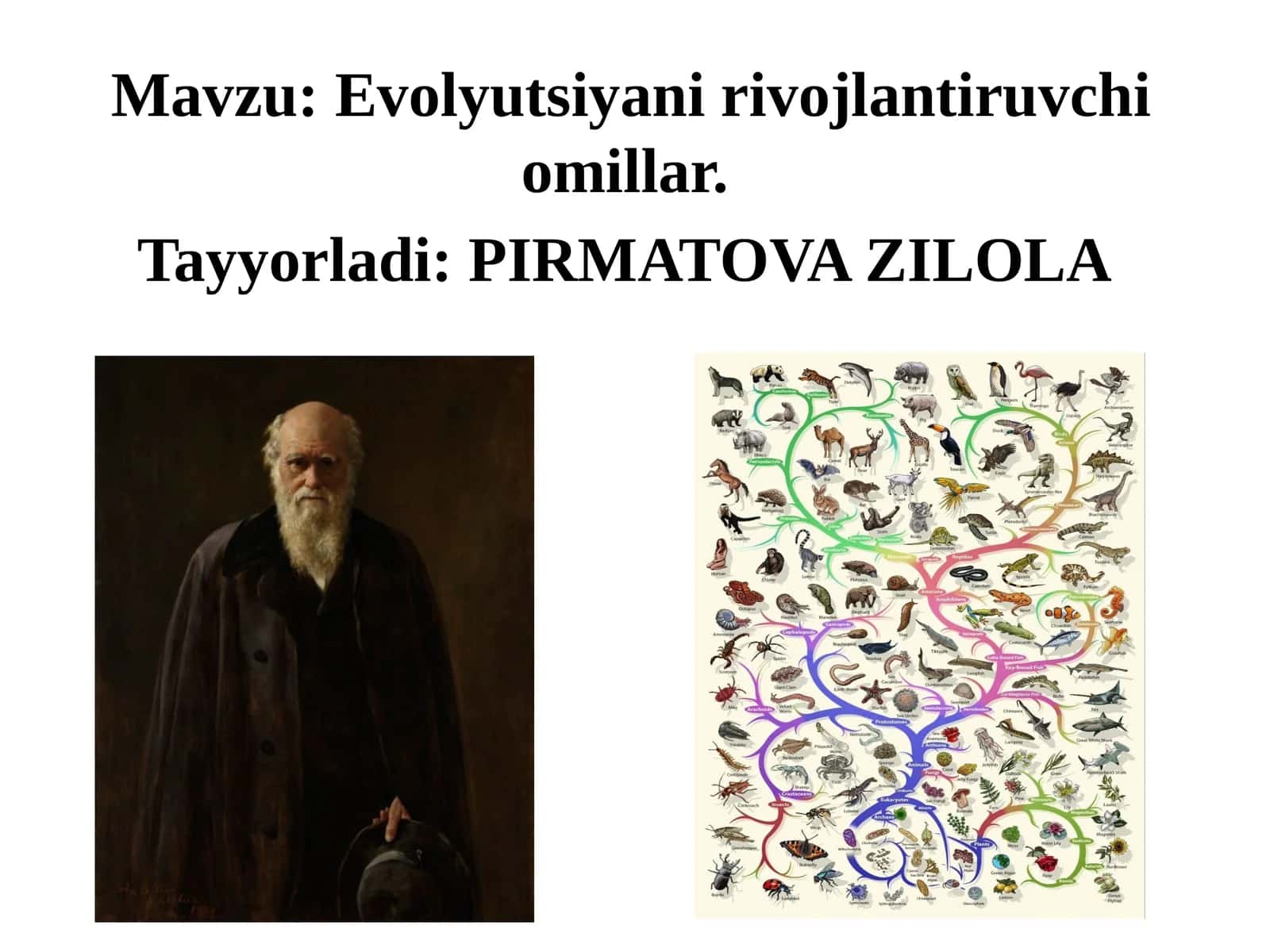 Evolyutsiyani rivojlantiruvchi omillar 1