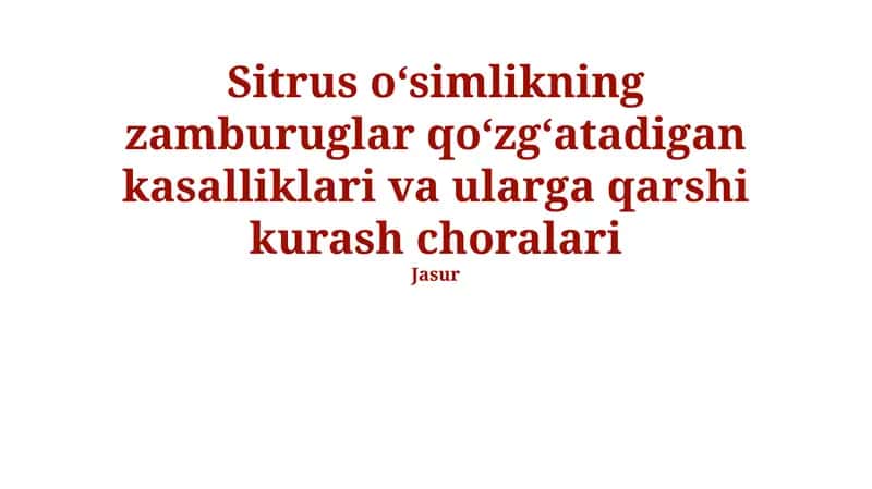 Antraknoz kasalligi 1