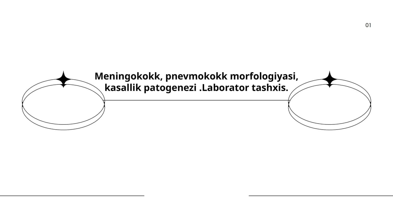 Meningokokk va pnevmokokk morfologiyasi va kasallik patogenezi 1