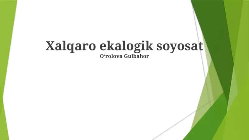 Xalqaro ekologik soyosat 1