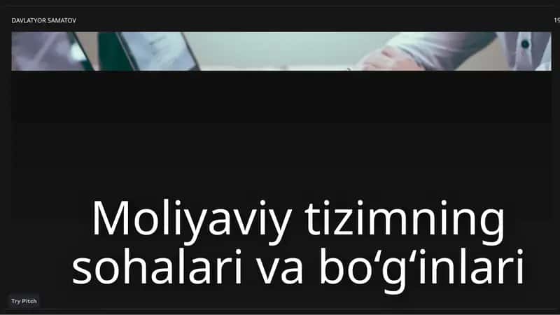 Moliyaviy tizimning sohalari va boʻgʻinlari 1