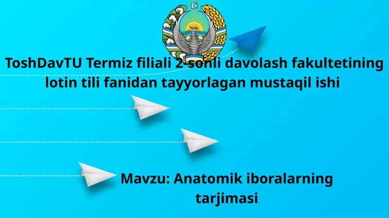 Anatomik iboralarning tarjimasi 1