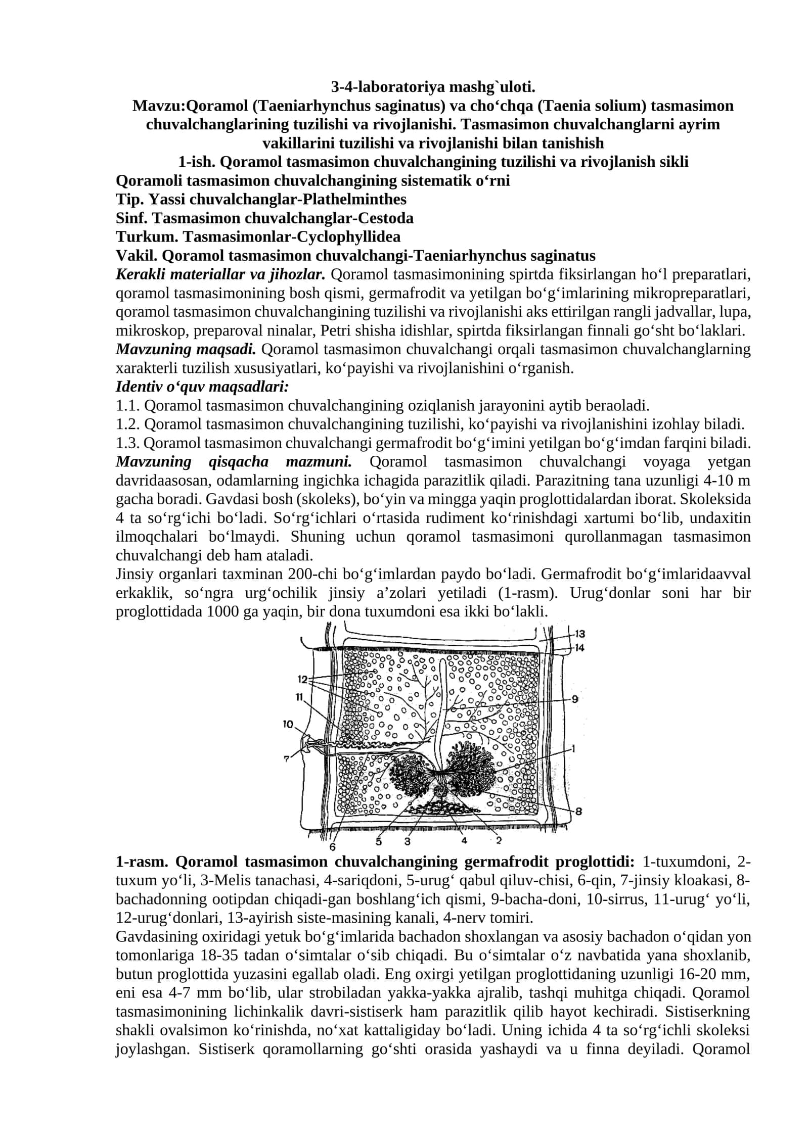 Qoramol (Taeniarhynchus saginatus) va cho‘chqa (Taenia solium) tasmasimon chuvalchanglarining tuzilishi va rivojlanishi 1