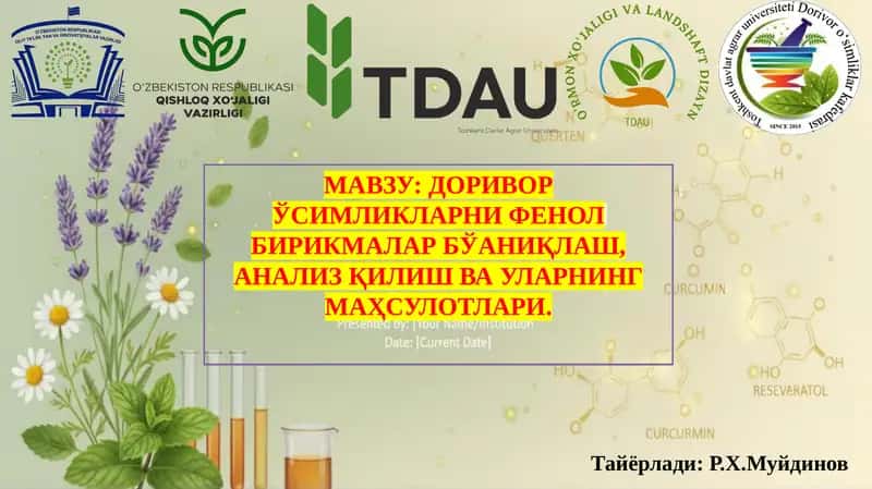 ДОРИВОР ЎСИМЛИКЛАРНИ ФЕНОЛ БИРИКМАЛАР БЎАНИҚЛАШ, АНАЛИЗ ҚИЛИШ ВА УЛАРНИНГ МАҲСУЛОТЛАРИ. 1
